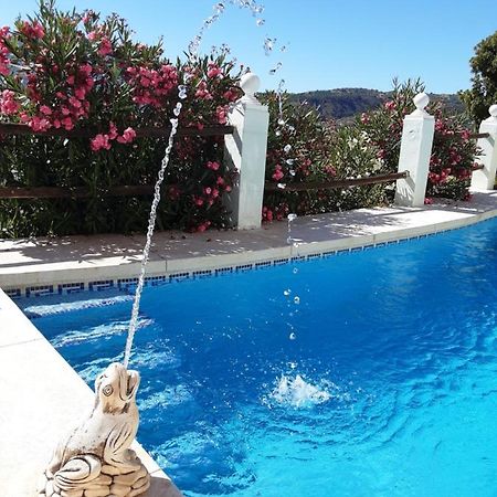 Apartamento Bella Vista Coín 外观 照片