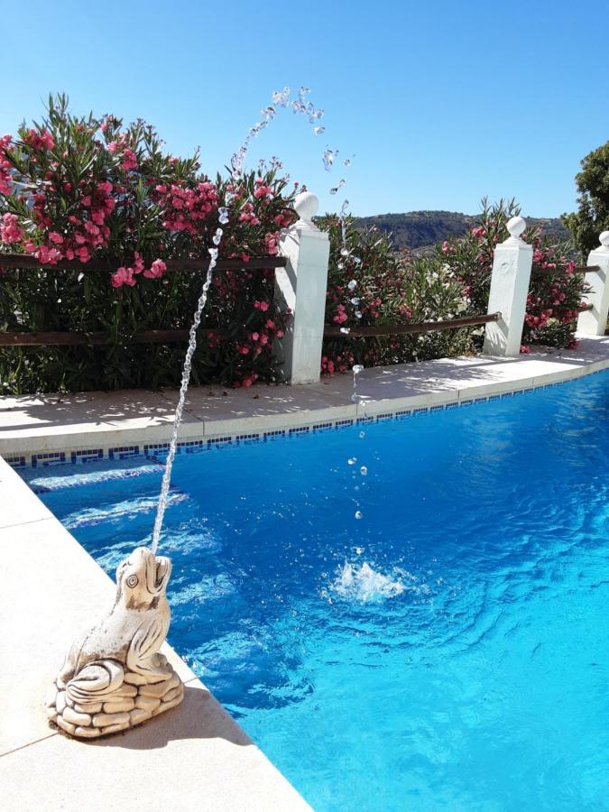 Apartamento Bella Vista Coín 外观 照片